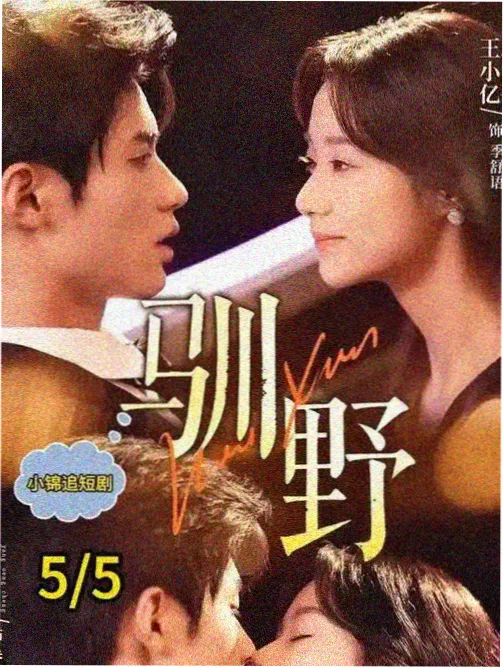 长夜列车 悬疑剧集资源封面